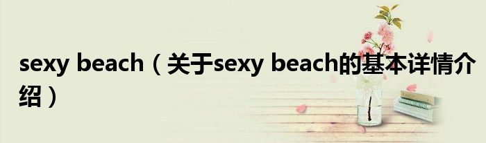 sexy beach（关于sexy beach的基本详情介绍）