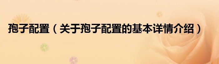 孢子配置（关于孢子配置的基本详情介绍）