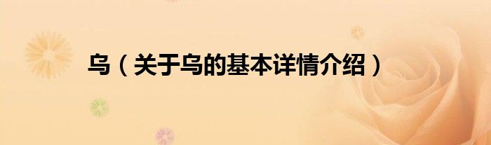 乌（关于乌的基本详情介绍）