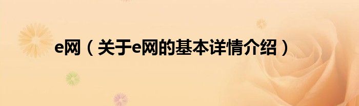 e网（关于e网的基本详情介绍）
