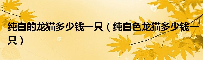 纯白的龙猫多少钱一只（纯白色龙猫多少钱一只）
