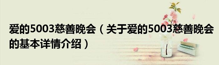 爱的5003慈善晚会（关于爱的5003慈善晚会的基本详情介绍）