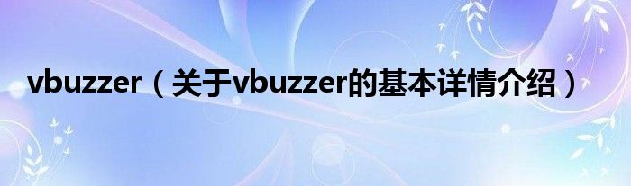 vbuzzer（关于vbuzzer的基本详情介绍）