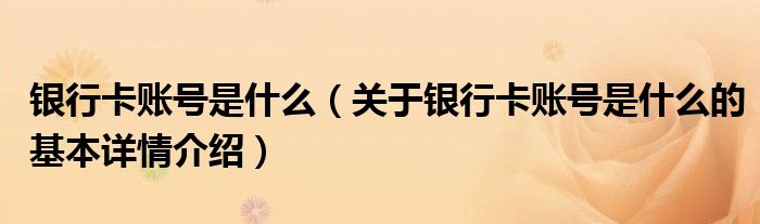 银行卡账号是什么（关于银行卡账号是什么的基本详情介绍）