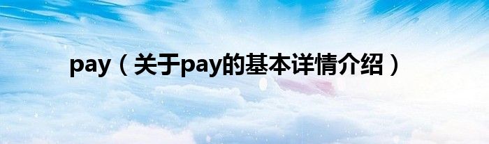 pay（关于pay的基本详情介绍）