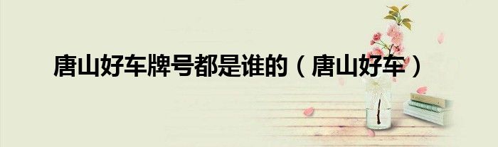 唐山好车牌号都是谁的（唐山好车）