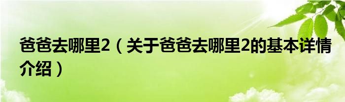 爸爸去哪里2（关于爸爸去哪里2的基本详情介绍）