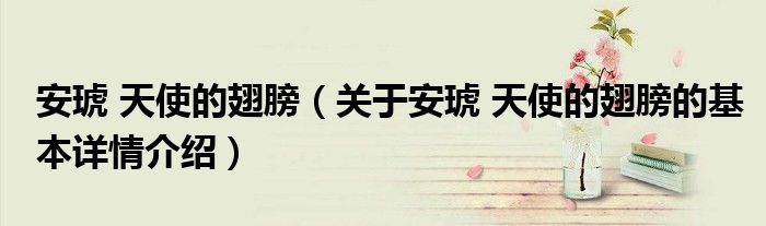 安琥 天使的翅膀（关于安琥 天使的翅膀的基本详情介绍）