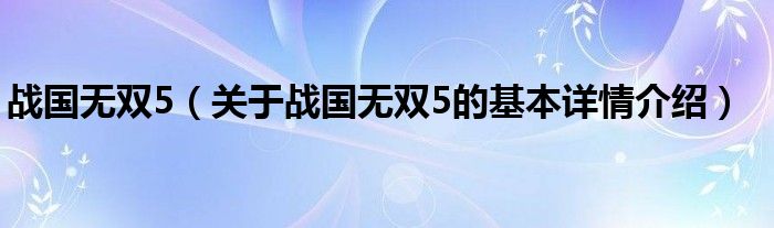 战国无双5（关于战国无双5的基本详情介绍）
