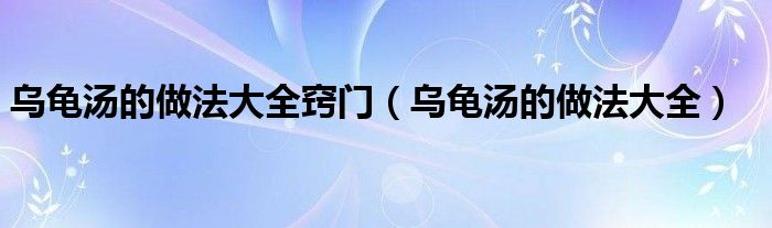 乌龟汤的做法大全窍门（乌龟汤的做法大全）