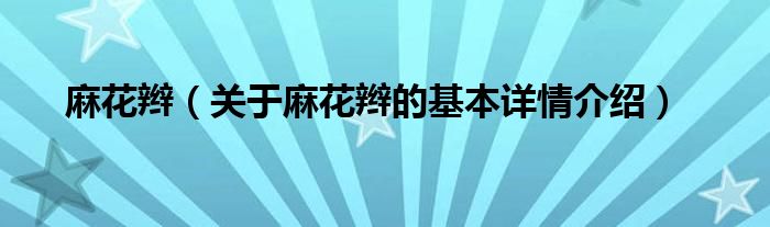 麻花辫（关于麻花辫的基本详情介绍）