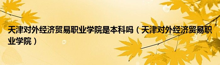天津对外经济贸易职业学院是本科吗（天津对外经济贸易职业学院）