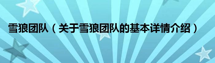 雪狼团队（关于雪狼团队的基本详情介绍）