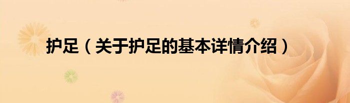 护足（关于护足的基本详情介绍）
