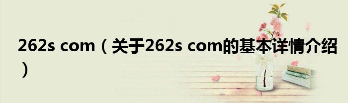 262s com（关于262s com的基本详情介绍）
