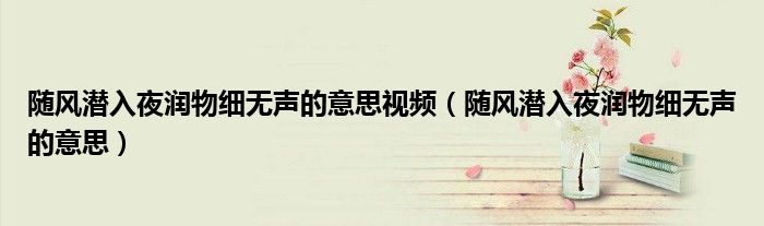 随风潜入夜润物细无声的意思视频（随风潜入夜润物细无声的意思）