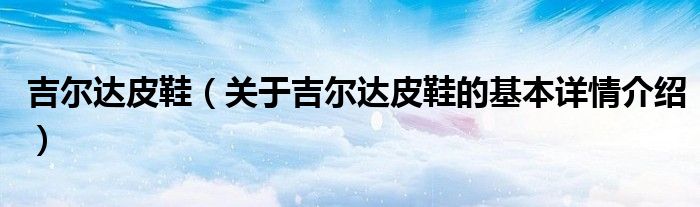 吉尔达皮鞋（关于吉尔达皮鞋的基本详情介绍）