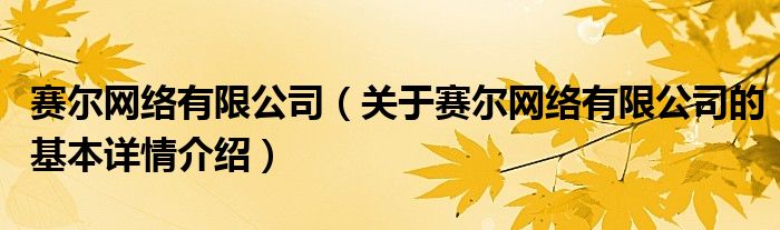 赛尔网络有限公司（关于赛尔网络有限公司的基本详情介绍）