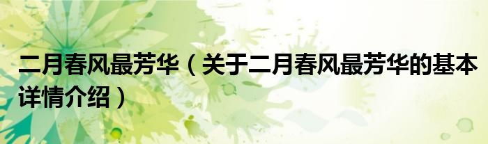 二月春风最芳华（关于二月春风最芳华的基本详情介绍）