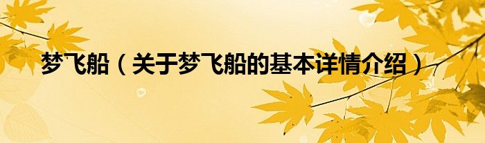 梦飞船（关于梦飞船的基本详情介绍）