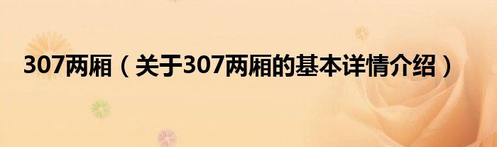 307两厢（关于307两厢的基本详情介绍）