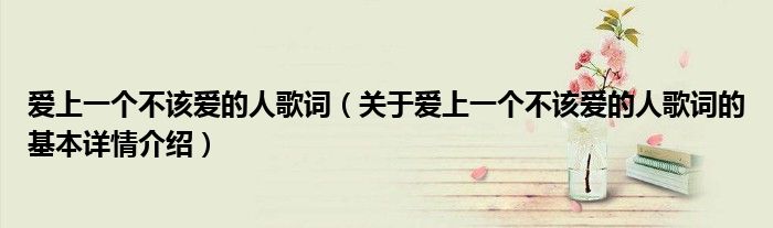 爱上一个不该爱的人歌词（关于爱上一个不该爱的人歌词的基本详情介绍）