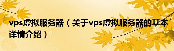 vps虚拟服务器（关于vps虚拟服务器的基本详情介绍）