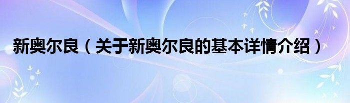 新奥尔良（关于新奥尔良的基本详情介绍）