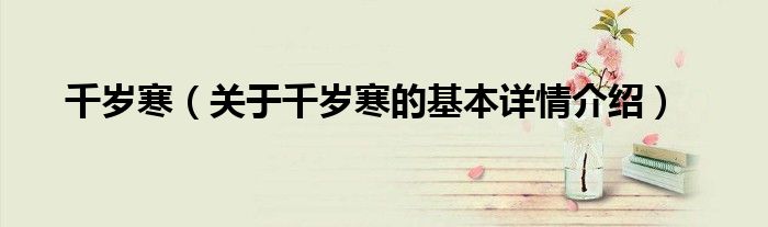 千岁寒（关于千岁寒的基本详情介绍）
