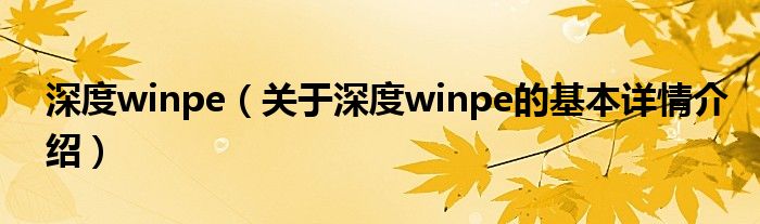 深度winpe（关于深度winpe的基本详情介绍）