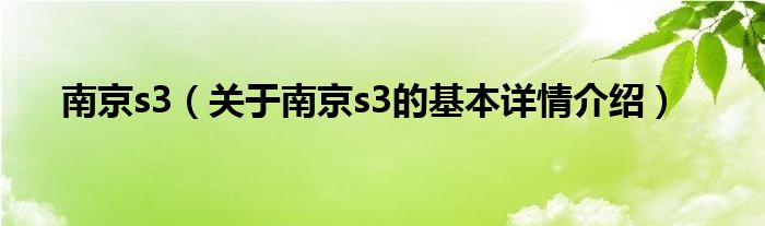 南京s3（关于南京s3的基本详情介绍）