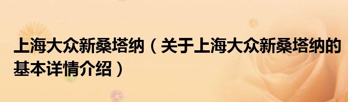 上海大众新桑塔纳（关于上海大众新桑塔纳的基本详情介绍）