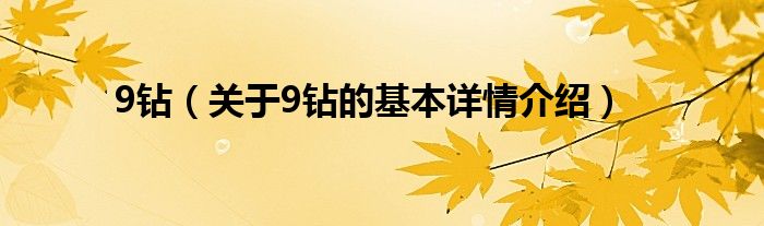 9钻（关于9钻的基本详情介绍）