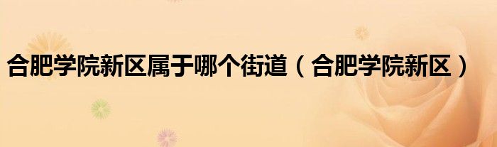 合肥学院新区属于哪个街道（合肥学院新区）