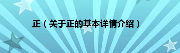 正（关于正的基本详情介绍）