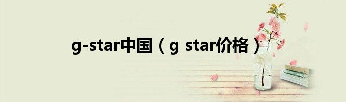 g-star中国（g star价格）