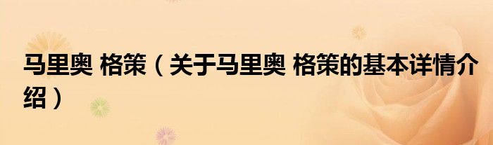 马里奥 格策（关于马里奥 格策的基本详情介绍）