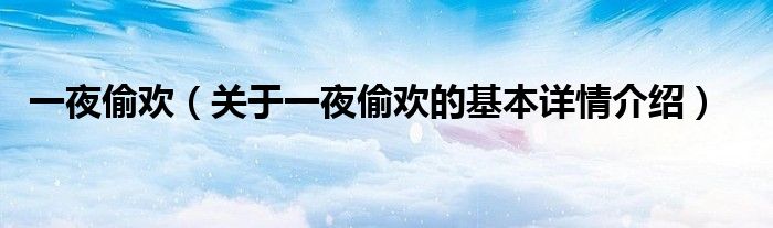 一夜偷欢（关于一夜偷欢的基本详情介绍）