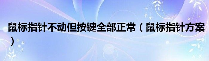 鼠标指针不动但按键全部正常（鼠标指针方案）