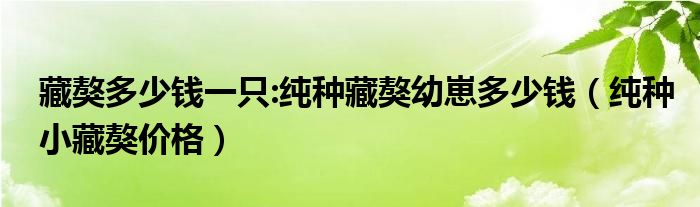 藏獒多少钱一只:纯种藏獒幼崽多少钱（纯种小藏獒价格）