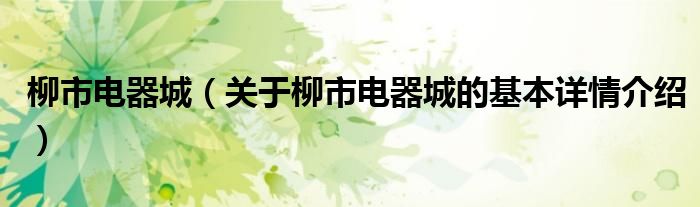 柳市电器城（关于柳市电器城的基本详情介绍）