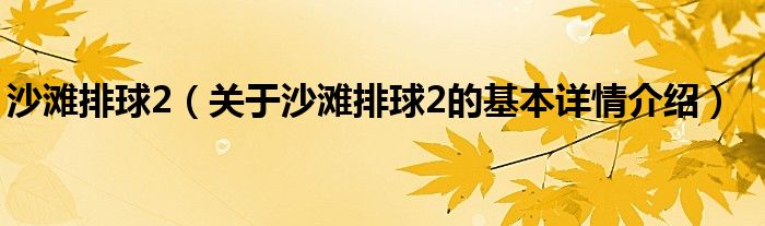 沙滩排球2（关于沙滩排球2的基本详情介绍）