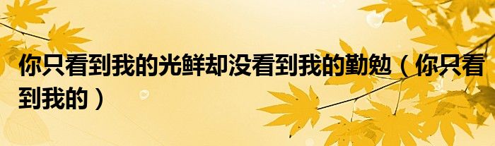 你只看到我的光鲜却没看到我的勤勉（你只看到我的）