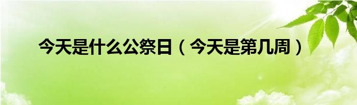 今天是什么公祭日（今天是第几周）