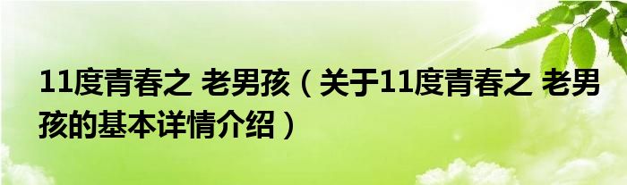 11度青春之 老男孩（关于11度青春之 老男孩的基本详情介绍）