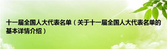 十一届全国人大代表名单（关于十一届全国人大代表名单的基本详情介绍）