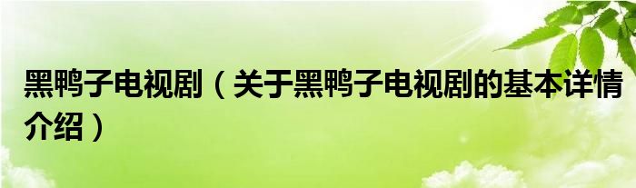 黑鸭子电视剧（关于黑鸭子电视剧的基本详情介绍）