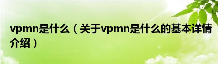vpmn是什么（关于vpmn是什么的基本详情介绍）