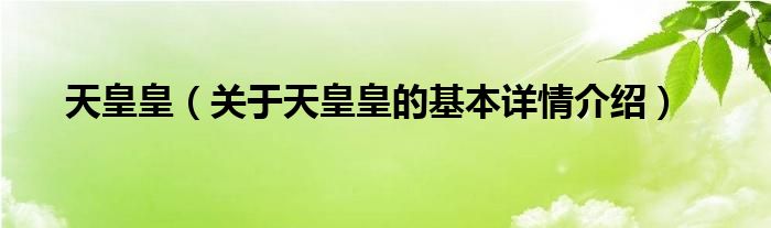 天皇皇（关于天皇皇的基本详情介绍）
