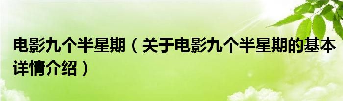 电影九个半星期（关于电影九个半星期的基本详情介绍）